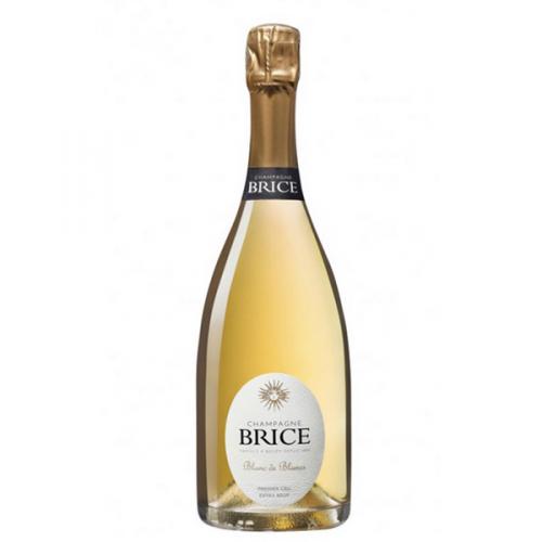 Brice Blanc de Blancs